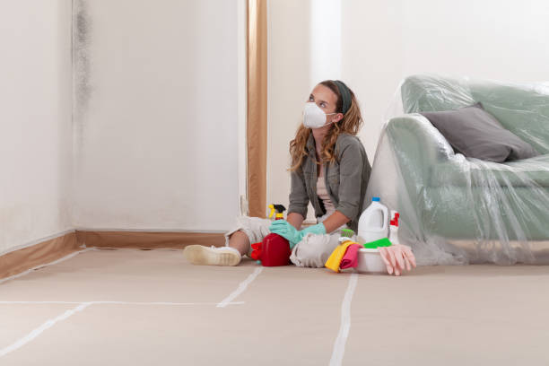 Reliable Mold Inspection And Testing contractor in Manchester, MI by 24 Hour Mold Removal