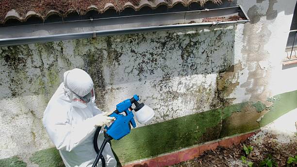 Top rated local Mold Inspection And Testing specialists in Manchester, MI